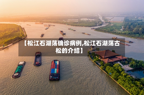 【松江石湖荡确诊病例,松江石湖荡古松的介绍】-第1张图片