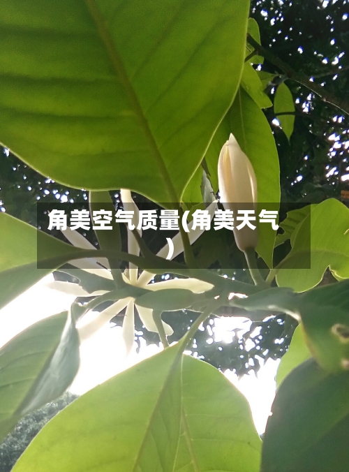 角美空气质量(角美天气)