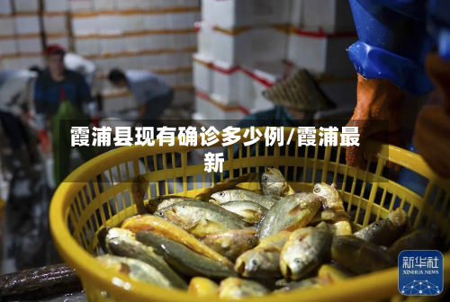 霞浦县现有确诊多少例/霞浦最新