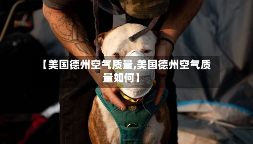 【美国德州空气质量,美国德州空气质量如何】-第1张图片
