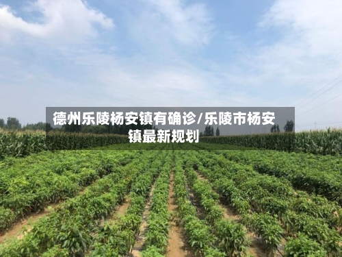 德州乐陵杨安镇有确诊/乐陵市杨安镇最新规划-第1张图片