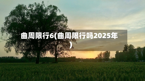 曲周限行6(曲周限行吗2025年)-第2张图片