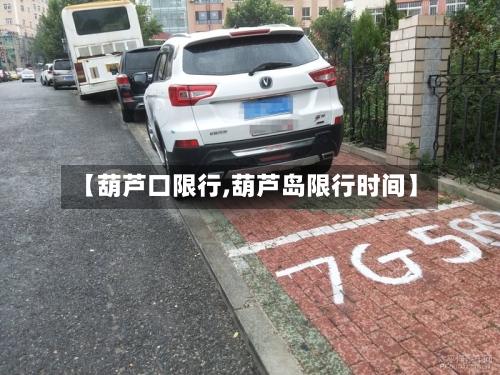 【葫芦口限行,葫芦岛限行时间】-第2张图片