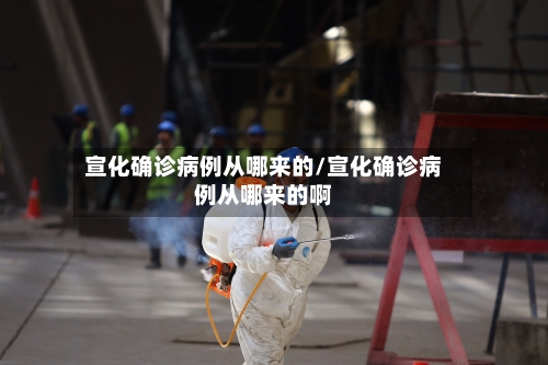 宣化确诊病例从哪来的/宣化确诊病例从哪来的啊