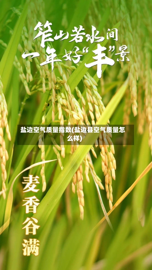 盐边空气质量指数(盐边县空气质量怎么样)-第2张图片