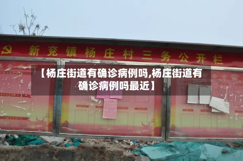 【杨庄街道有确诊病例吗,杨庄街道有确诊病例吗最近】-第3张图片