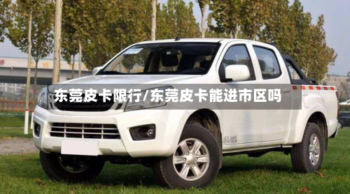 东莞皮卡限行/东莞皮卡能进市区吗