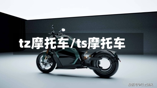 tz摩托车/ts摩托车-第2张图片