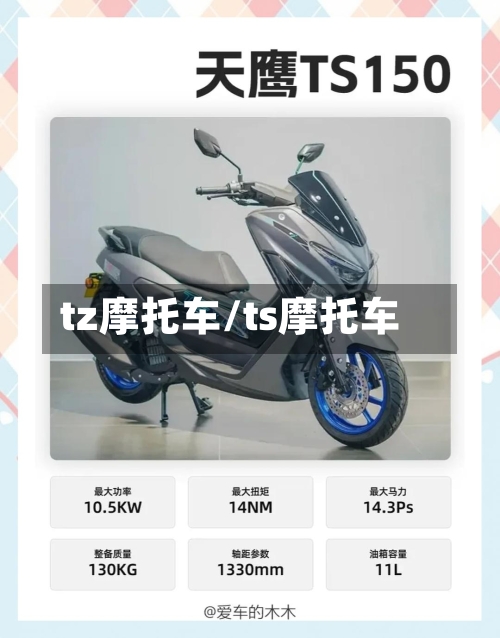 tz摩托车/ts摩托车-第3张图片