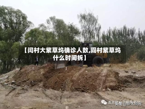 【闫村大紫草坞确诊人数,阎村紫草坞什么时间拆】
