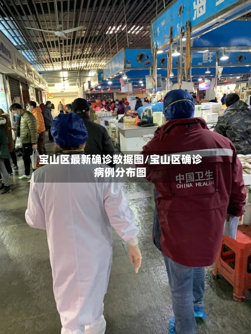 宝山区最新确诊数据图/宝山区确诊病例分布图