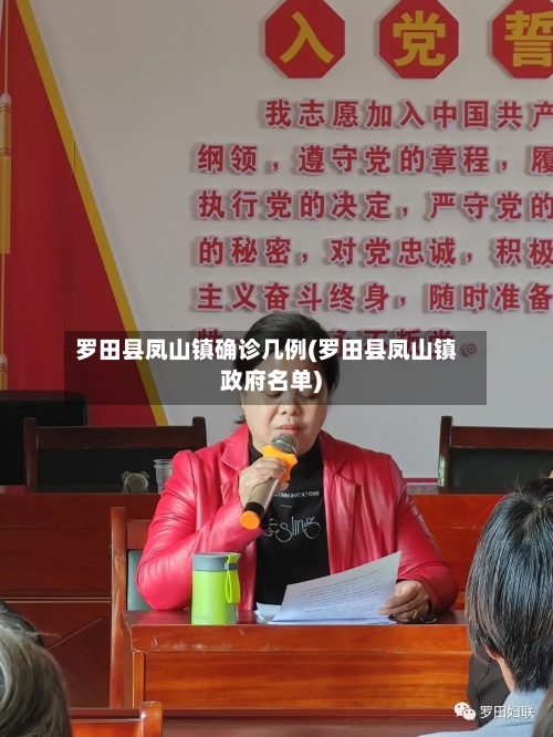 罗田县凤山镇确诊几例(罗田县凤山镇政府名单)