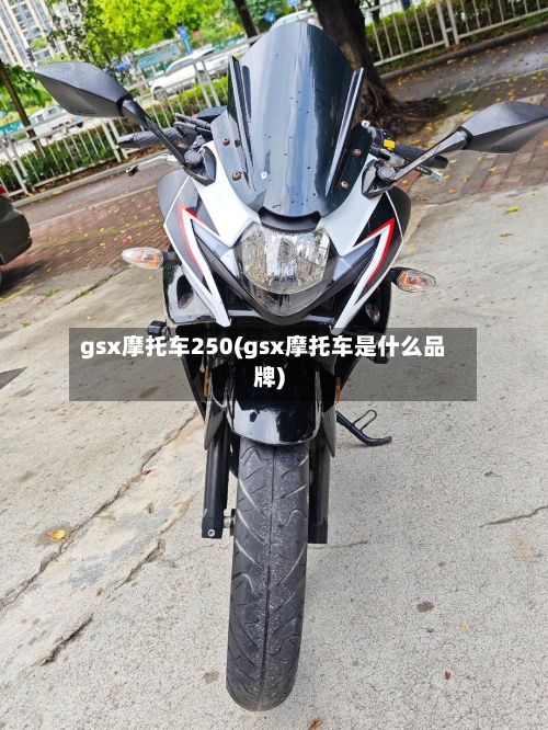 gsx摩托车250(gsx摩托车是什么品牌)