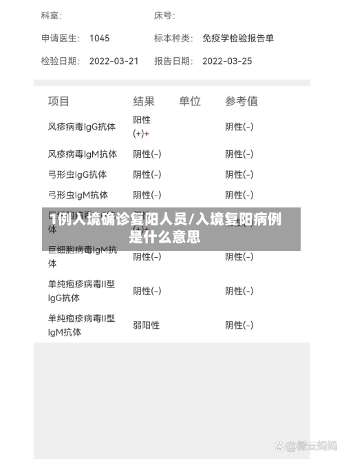 1例入境确诊复阳人员/入境复阳病例是什么意思
