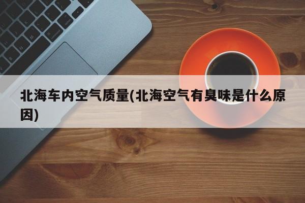 北海车内空气质量(北海空气有臭味是什么原因)