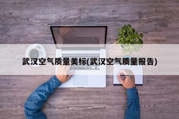武汉空气质量美标(武汉空气质量报告)