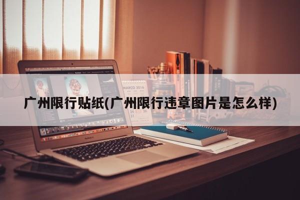 广州限行贴纸(广州限行违章图片是怎么样)
